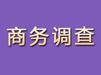 双鸭山商务调查