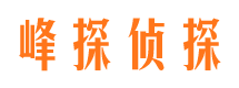 双鸭山市婚外情调查